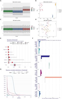 Identification and validation of a novel Parkinson-Glioma feature gene signature in glioma and Parkinson’s disease